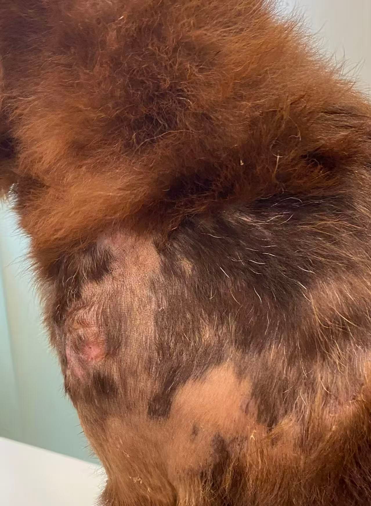 Coco — After