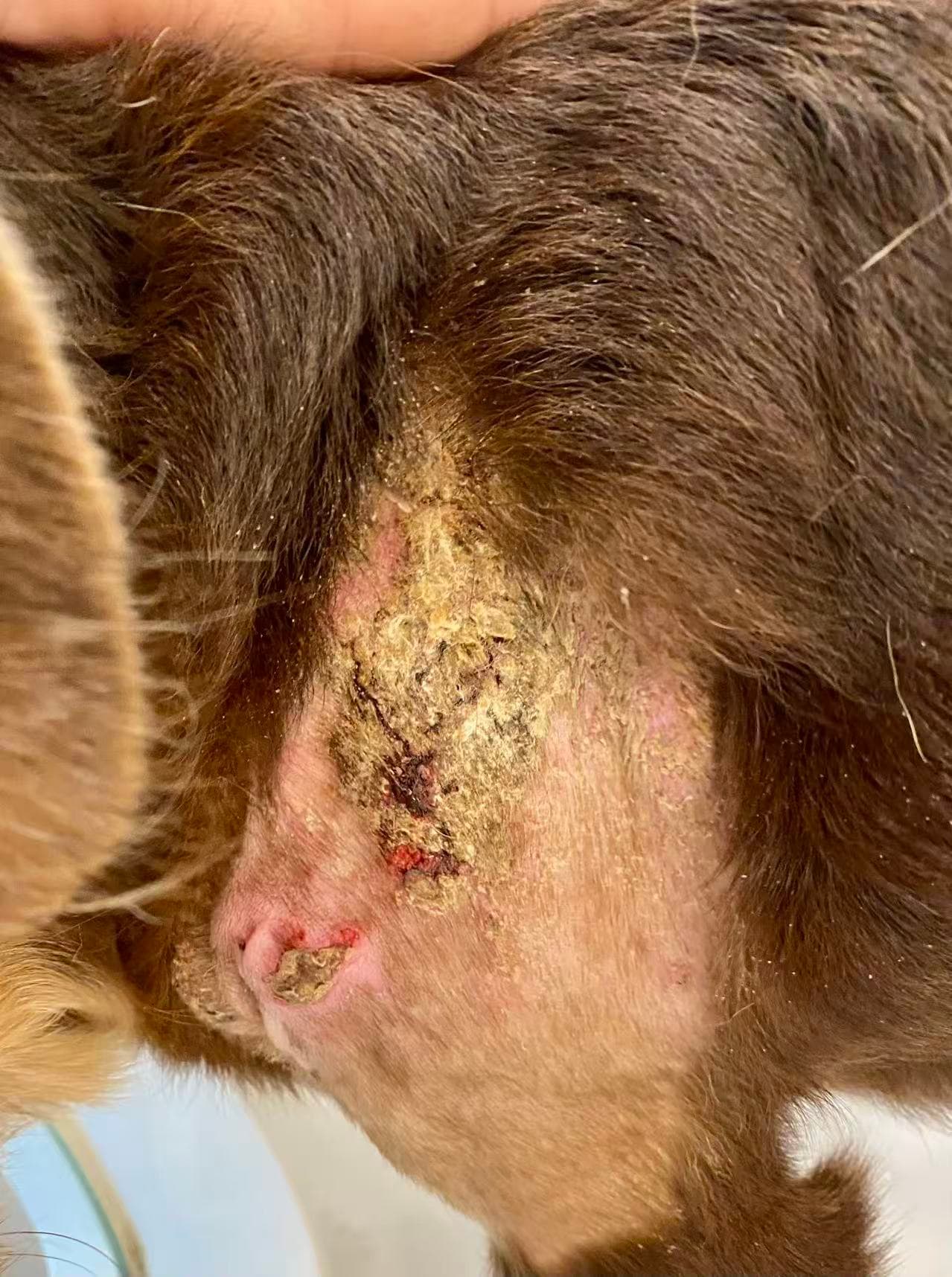 Coco — Before