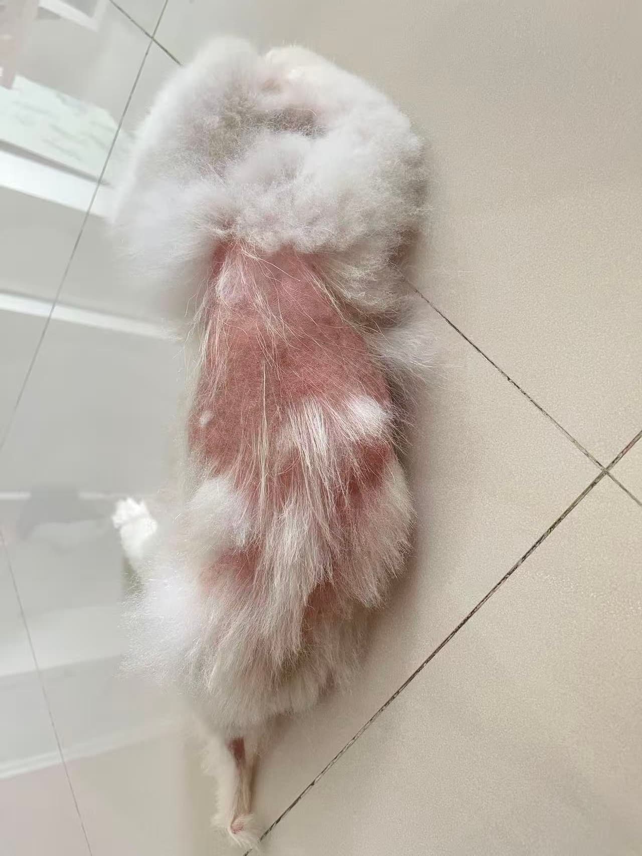 Kumo — Before